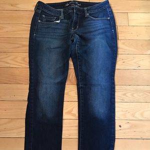 AEO Skinny Stretch Jeans - SHORT length
